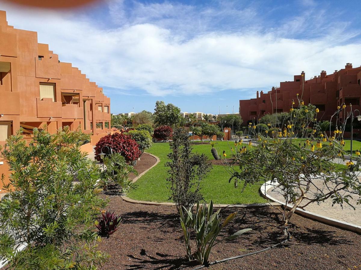 Alquilaencanarias El Medano Sotavento, Great Terrace And Beach ภายนอก รูปภาพ